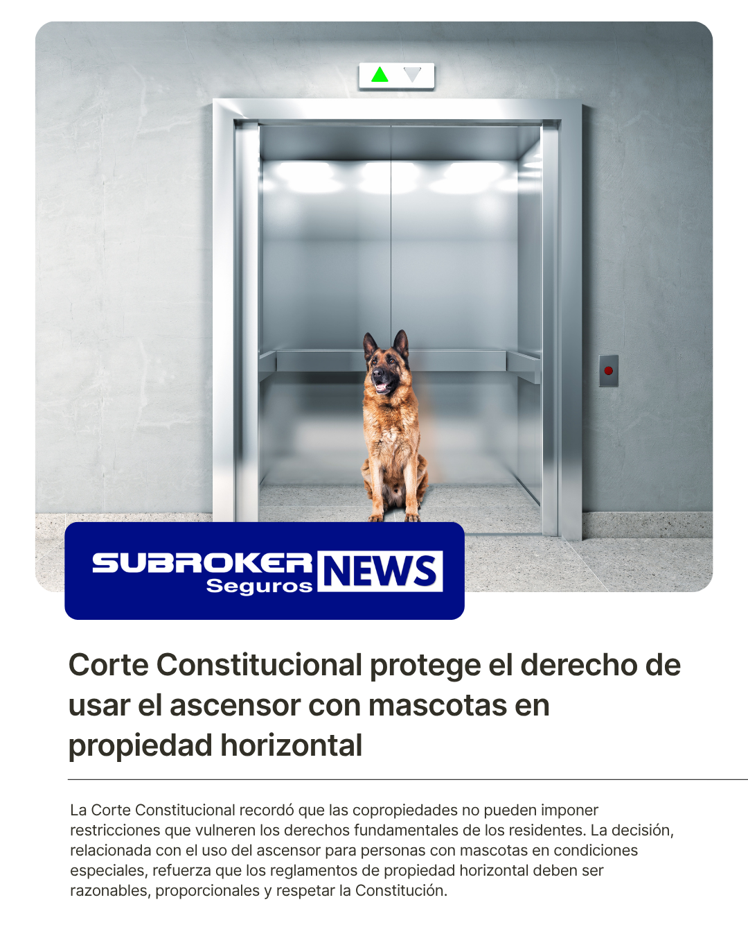 Noticia Corte Constitucional protege el derecho de usar el ascensor con mascotas en propiedad horizontal